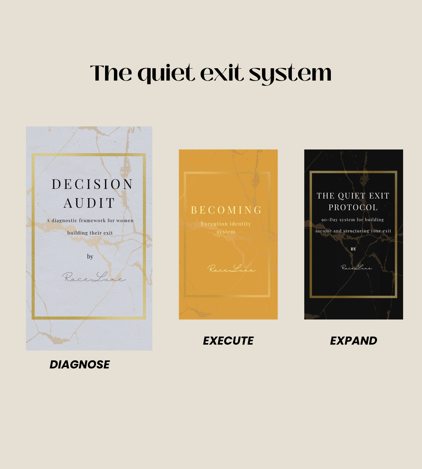 DECISION AUDIT: Diagnostic Framework